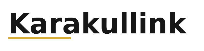 Karakullink logo